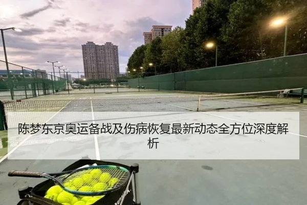 陈梦东京奥运备战及伤病恢复最新动态全方位深度解析
